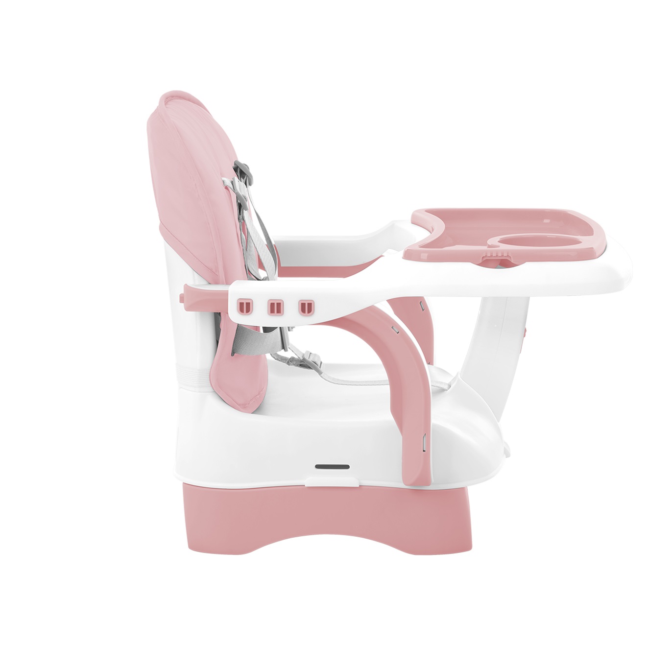 chewy_pink_31004010159_6