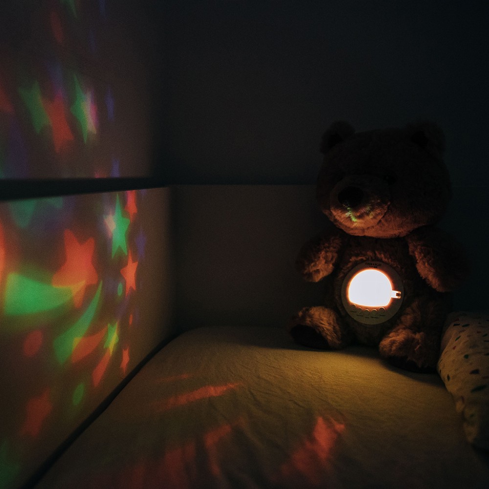 3830084386557_image_2_web